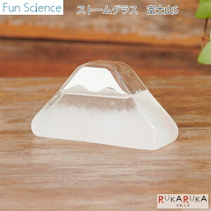 sFun SciencetXg[OX xmR SJY 1566-333415 *lR|Xs*t@TCGX N  Mtg CeA u