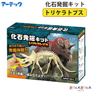 Δ@Lbg [gPgvX] A[ebN 641-55481 *lR|Xs* qǂ q  ̌@