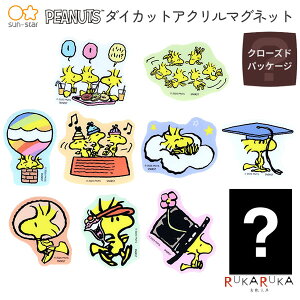 PEANUTS _CJbgAN}Olbg [S10] TX^[ 13-S3626040 ylR|X։z [M 1/18] N[YhpbP[W _ }Olbg WOODSTOCK SNOOPY