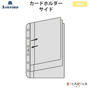 ASHFORD J[hz_[ TCh MINI6 [0072]AVtH[h 1319-0072-100ylR|Xz[M 1/20]~j6 VXe蒠 tB J[h h