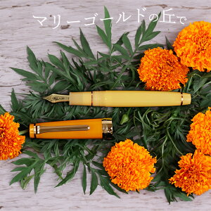 yICNv[gzIWi薜NMtAV[Y h}[S[h̋uŁhY[/~[WbN Z[[NM vtFbViMAX 11-8873y