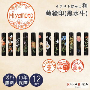 CXg͂(aENEx) F s  [G/12mm] y*zJ^Ji p [} N_0