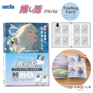 Ao [g[fBOJ[hz_[] 80|Pbg ZLZC 160-OKA-6480ylR|Xz[M 1/2] ACe JX^ X|[cJ[h