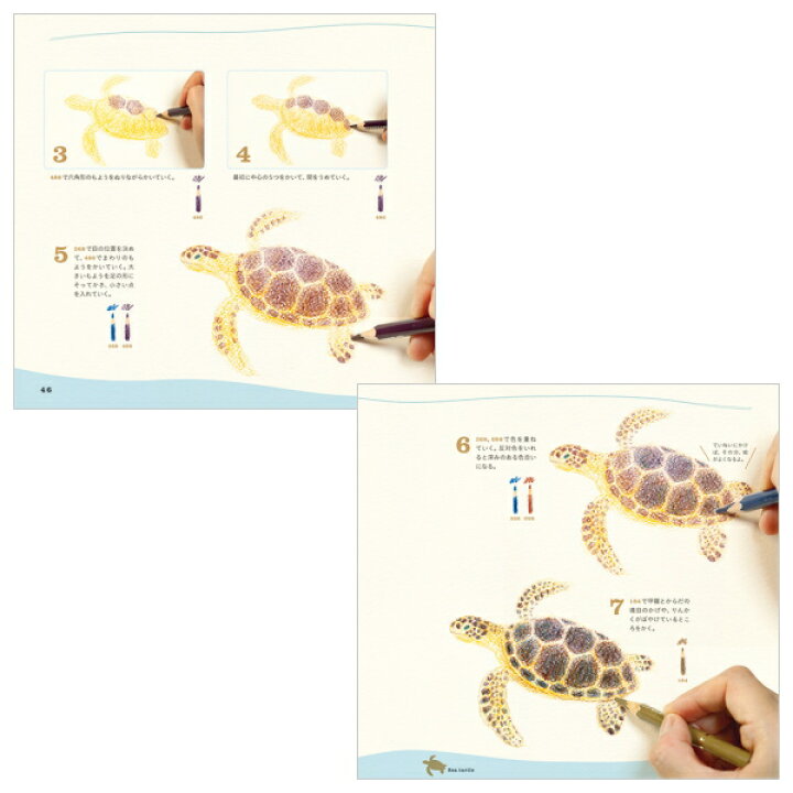 楽天市場 色えんぴつでかわいい水の生き物 パイインターナショナル 1745 4377 ネコポス可 秋草愛 動物 書き方 イラスト 本 倉敷文具rukaruka 楽天市場 色えんぴつでかわいい水の生き物 パイインターナショナル 1745 4377 ネコポス可 秋草愛 動物 書き方 イラスト 本 倉敷文具rukaruka