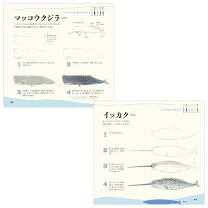 楽天市場 色えんぴつでかわいい水の生き物 パイインターナショナル 1745 4377 ネコポス可 秋草愛 動物 書き方 イラスト 本 倉敷文具rukaruka 楽天市場 色えんぴつでかわいい水の生き物 パイインターナショナル 1745 4377 ネコポス可 秋草愛 動物 書き方 イラスト 本 倉敷文具rukaruka