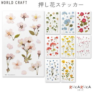 Pressed Flower Sticker ԃXebJ[ [S9] [hNtg 1846-PFS-00* ylR|Xz[M 1/60]   t h fR[V