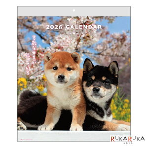 2026 Ǌ|J_[ DOGEH[J_[ ANeBuR[|[V 392-26ACL-01 *lR|Xs* Ǌ| JCC 킢   ʐ^