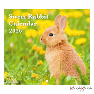 2026 Ǌ|J_[ Sweet Rabbit ANeBuR[|[V 392-26ACL-36ylR|Xz[M 1/5] ʐ^  킢 Vv