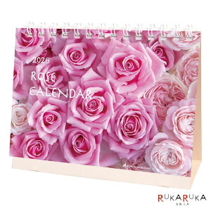 2026 J_[ [YJ_[ ANeBuR[|[V 392-26ACL-579 ylR|Xz[M 1/4]  o KN ʐ^