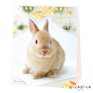 2026 J_[ Sweet Rabbit ANeBuR[|[V 392-26ACL-571 ylR|Xz [M 1/4]rbg  ʐ^  킢