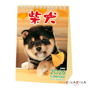 2026 J_[ XcėYE܂邲ƎČ ANeBuR[|[V 392-26ACL-543 ylR|Xz[M 1/3]   Ck  킢 