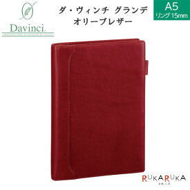 *在庫限り* 【限定特価】ダ・ヴィンチ グランデ オリーブレザー A5システム手帳 リング径15mm [ワイン]レイメイ藤井 24-JDA3026Z 【送料無料*】名入れ手帳 ギフトボックス入り 国産本革 クロス付き ダヴィンチ 65_C