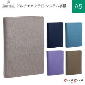 ダ・ヴィンチ ドルチェメンテ ES (A5サイズ) システム手帳 リング径15mm [全5色]レイメイ藤井 24-DSA1092* 【送料無料*】 ギフトボックス入り 国産本革 Davinci Dolcemente