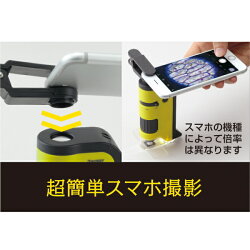 ハンディ顕微鏡DX100倍率〜250倍率スマホ撮影全3色レイメイ藤井24-RXT300*夏休み応援宿題自由研究透過型落射型LEDライトUVライト便利楽しいこども