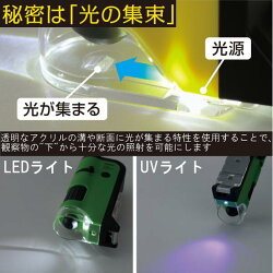 ハンディ顕微鏡DX100倍率〜250倍率スマホ撮影全3色レイメイ藤井24-RXT300*夏休み応援宿題自由研究透過型落射型LEDライトUVライト便利楽しいこども