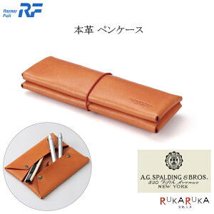 y݌ɌIʌz {v yP[X X|fBOEuX CC 24-BRY502C ylR|Xzv IV a M d. SP&BROS 65_C