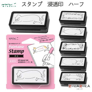 yC^uX^v X^v Z n[t [S6] e fUCtB(~h) 28-3550* ylR|Xz[M 1/12] nR 蒠 m[g t J[h fR[V RpNg 킢