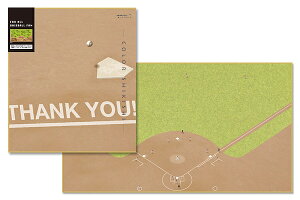 カラー色紙 二つ折り 野球場柄 ミドリ 33166