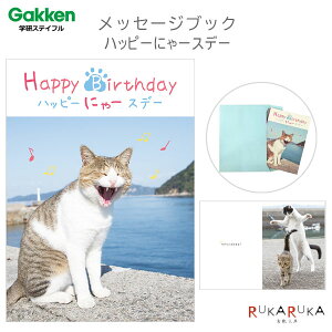 bZ[WubN nbs[ɂ[Xf[ (˂) wXeCt 537-B10045 ylR|Xz [M 1/4] a V nbs[o[Xf[