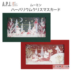 [~ n[oENX}XJ[h [S2] A.P.J(A[gvgWp) 393-100012506* ylR|Xz [M 1/2] MOOMIN christmas X'mas