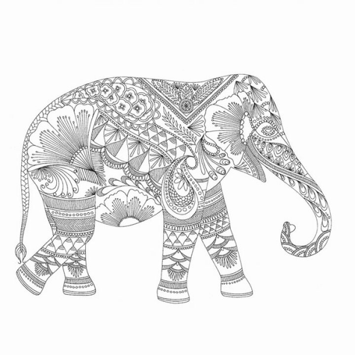 楽天市場 塗り絵 動物たちのぬり絵ブック ミリー マロッタ パイインターナショナル 1745 4645 ネコポス不可 倉敷文具rukaruka 楽天市場 塗り絵 動物たちのぬり絵ブック ミリー マロッタ パイインターナショナル 1745 4645 ネコポス不可 倉敷文具rukaruka