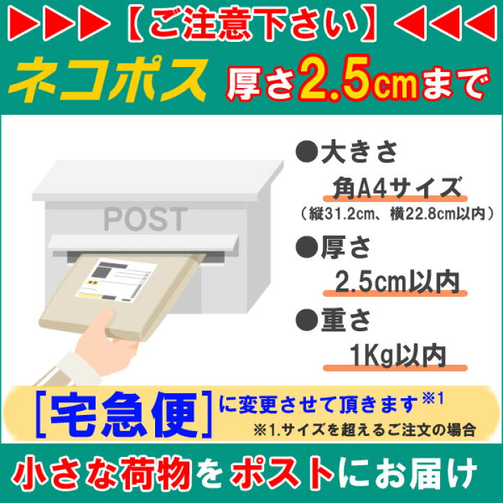 29950円 【90%OFF!】 カシオ スタンダードレジスター SR-S200 ホワイト