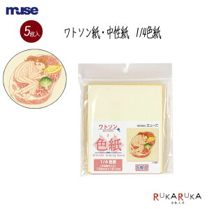 FpbNug\v1/4F 5MUSE ~[Y 305-SDB-NW-MylR|XzN[ F 񂹏 C TCF CXgs