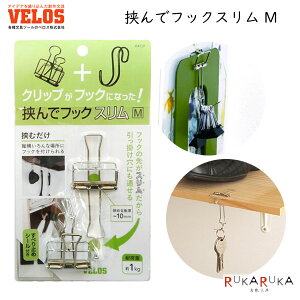 ŃtbNX M xX HHS-5234 *lR|Xs* ֗ [ Еt Lb`