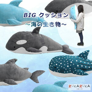 BIGNbV `C̐` [S4] A^ 1268-AR062817* *lR|Xs* ʂ CJ V` WxGU zIWU