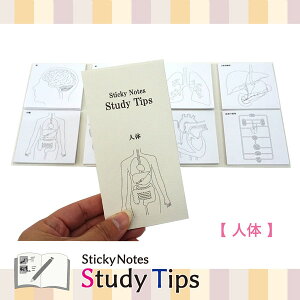 Sticky Note Study Tips �y���炾�z �S3�� ���Y���퐻�쏊 2440-FS-SST00* �y�l�R�|�X�z[M�� 1/6] �ӂ��� �t� �l�� ���i �ؓ�