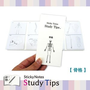 Sticky Note Study Tips �y���炾�z �S3�� ���Y���퐻�쏊 2440-FS-SST00* �y�l�R�|�X�z[M�� 1/6] �ӂ��� �t� �l�� ���i �ؓ�
