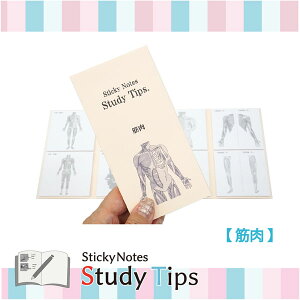 Sticky Note Study Tips �y���炾�z �S3�� ���Y���퐻�쏊 2440-FS-SST00* �y�l�R�|�X�z[M�� 1/6] �ӂ��� �t� �l�� ���i �ؓ�