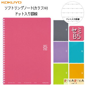 \tgOm[g(Jt) hbgr Z~B5 40 炩O [S6F] RN 10-X-SV301BT-*@ylR|Xz[M 1/3] ^Cv