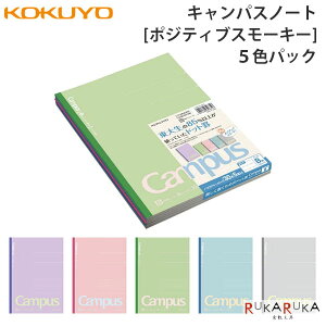 y}֔ẑ݁z LpXm[g [|WeBuX[L[] 5FpbN Z~B5 Br RN 10-m-3CBTN-L40X5 6 ȕ pbNm[g pXe 