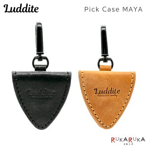 Pick Case/sbNP[X MAYA mS2F] _CgsLudditet1957-LDKM-PIC-0*ylR|Xz[M 1/20]C^AU[ v M^[