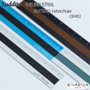 THIS INDUSTRIAL BUTTERO Hybrid Ruler [S4]15cm [[ K_CgsLudditet1957-LDTI-HRB-****ylR|XzmM 1/10nA~  Vv _C} ube[