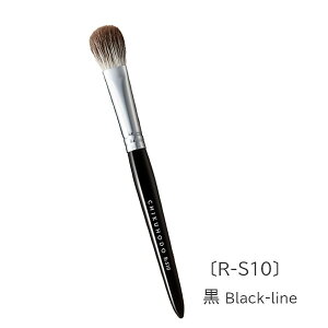 F̉ϕM R-V[Y ACVh[uV | 1040-R-S10/RR-S10ylR|Xz[M 1/20]  CNuV ACCN VR FM L