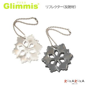 O~XsGlimmistIG^X^[mS2FnARfUC 1322-O~XIG^X^[** ylR|Xz[M 1/100]˔ ˍ GR  hZ S ʋ ʊw U ʈS