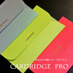 �����^���h���� CARDRIDGE PRO�k�J�[�h���b�W�E�v���l1������S3�F �����h�H�[ CP20*�y�l�R�|�X�z