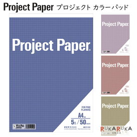 Project Paper《プロジェクトペーパー》A4サイズ 5mm方眼 50シート [全5色] オキナ 170-PH150* 【4冊までネコポス可】 [M便 1/4] レポートパッド ノートパッド エコパルプ ビジネス 会議 企画 プランニング レポート用紙