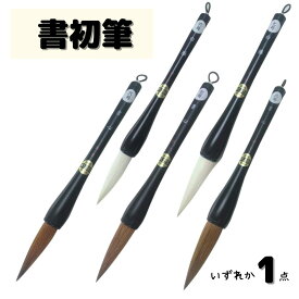 だるま筆 書き初め筆 書初筆 書心 6号 7号 8号 小学生 六号 七号 八号 太筆 大筆 学童用 習字 書写 書道 和筆 書道筆