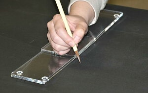 VrXx[ ph~T|[g ʌo ܏ 앶