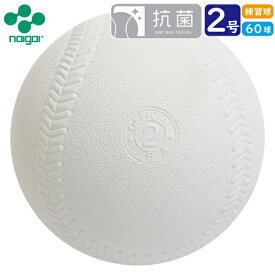 【練習球】検定落ちソフトボール 2号球　ナイガイソフトボール　5ダース(60球)