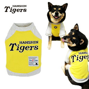 yGg[P10{z_^CK[XObY ^CK[XF OTVc CG[ [8019Y] S-3L hbOEFA ybgpi bsO