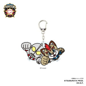 yGg[P10{zEg}2024/kC{nt@C^[Y@2AANL[z_[ iftHj bsO