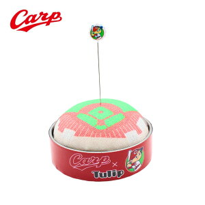 LJ[vObY J[vVZ܂jt ^sNbV i2024j