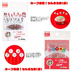 LJ[vObY J[vKIZ܂j J[vVij/ `[tiԁj