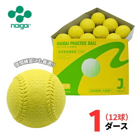 ナイガイ 軟式野球 プラクティスボール J号 (イエロー) 1ダース(12球) 学童・小学生向け J球 ジュニア 練習球【抗菌】 ラッピング不可