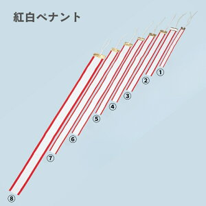 yubNtCf[ P10{zgyig-7i70cm×50mmjLOi VH| bsOs