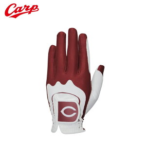 �y�G���g���[��P5�{�z�L�����m�J�[�v �S���t �O���[�u(����p) �z���C�g [HCGL-4609] ���蒅�p ���U�b�N�X LEZAX ���b�s���O��